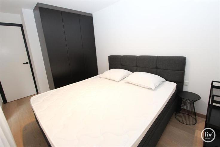 Appartement Spacieux A